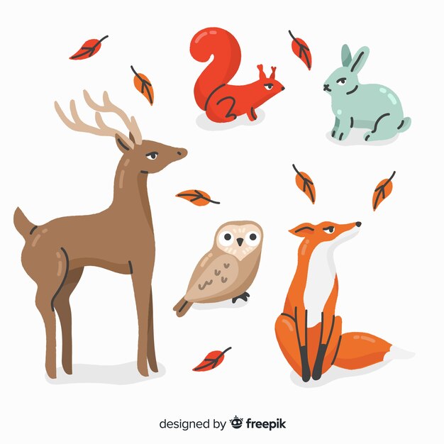 Colección de animales del bosque dibujados a mano.