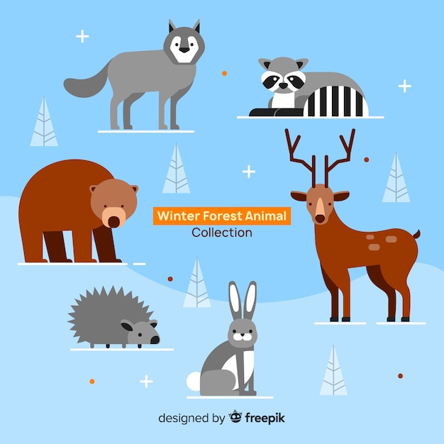 Colección animales bosque invierno planos