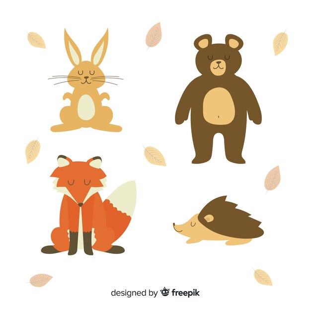Colección animales del bosque otoñal dibujados a mano