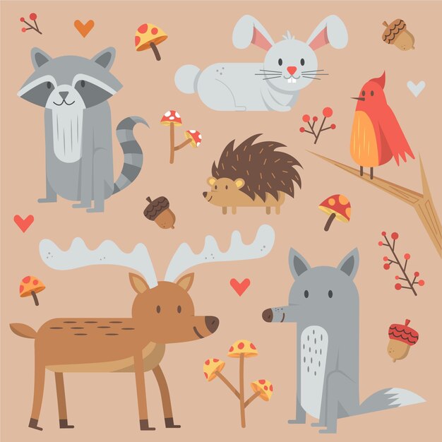 Colección de animales del bosque otoño dibujado a mano
