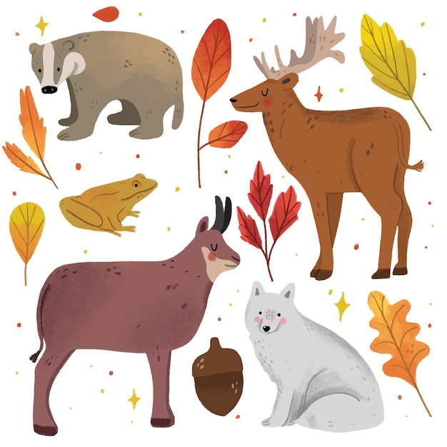 Colección de animales del bosque otoño dibujado a mano