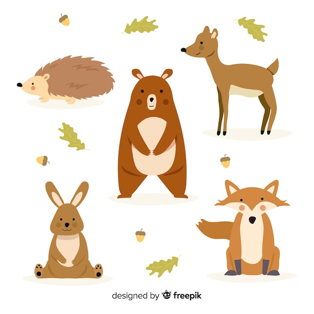 Colección de animales de bosque de otoño dibujados a mano