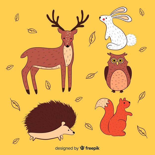 Colección de animales de bosque de otoño dibujados a mano