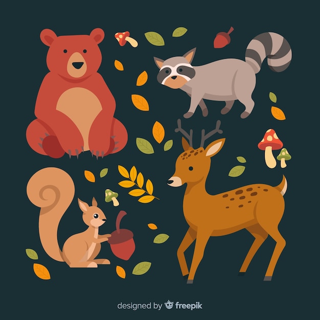 Colección de animales de bosque de otoño dibujados a mano