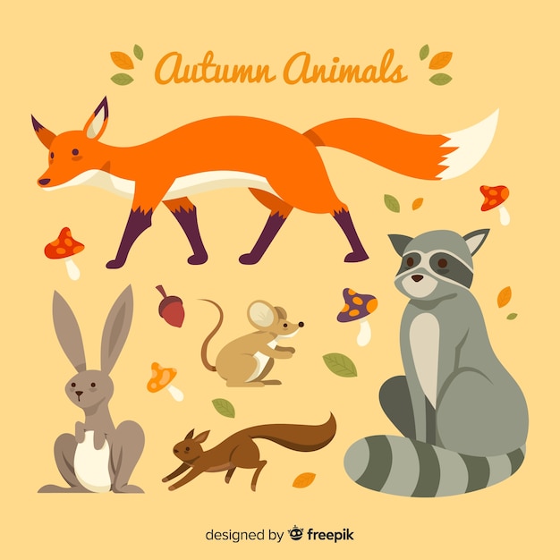 Colección de animales de bosque de otoño dibujados a mano