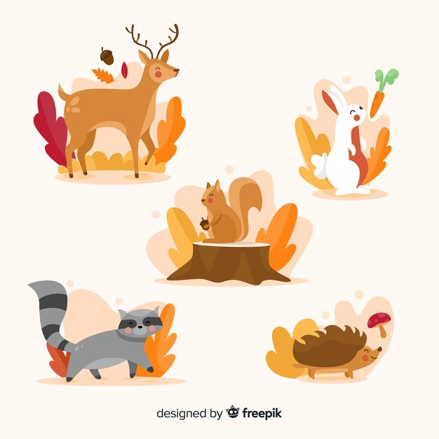 Colección de animales de bosque en otoño en diseño plano