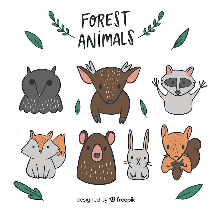 Vector gratuito colección de animales del bosque