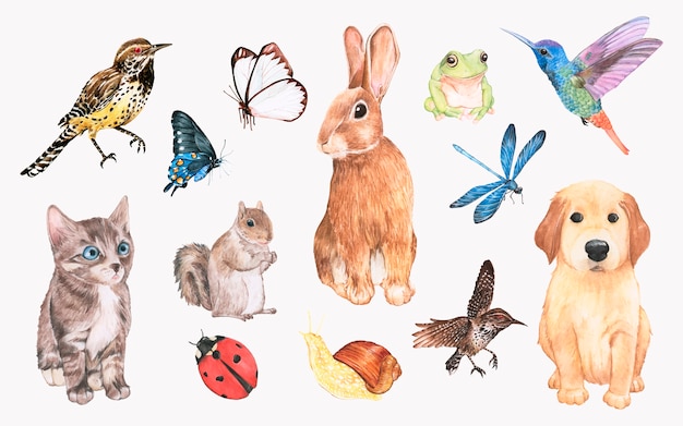 Colección de animales dibujados a mano