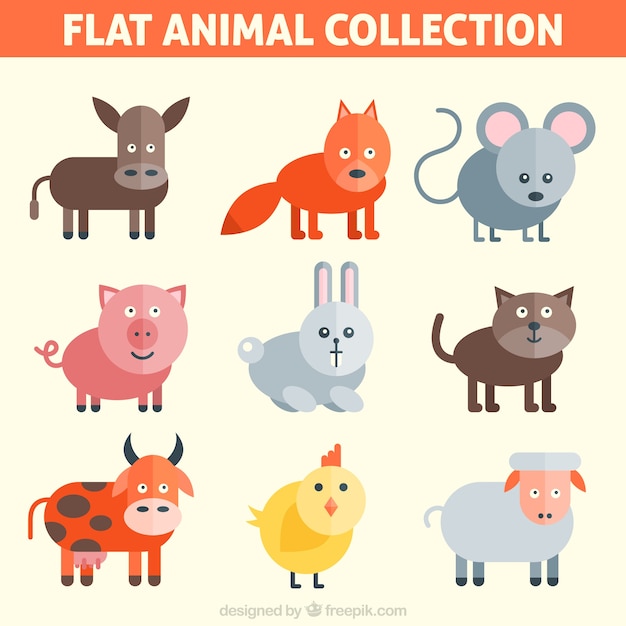 Colección de animales divertidos planos