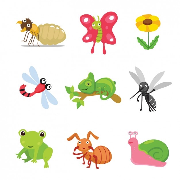 Vector gratuito colección de animales e insectos coloridos