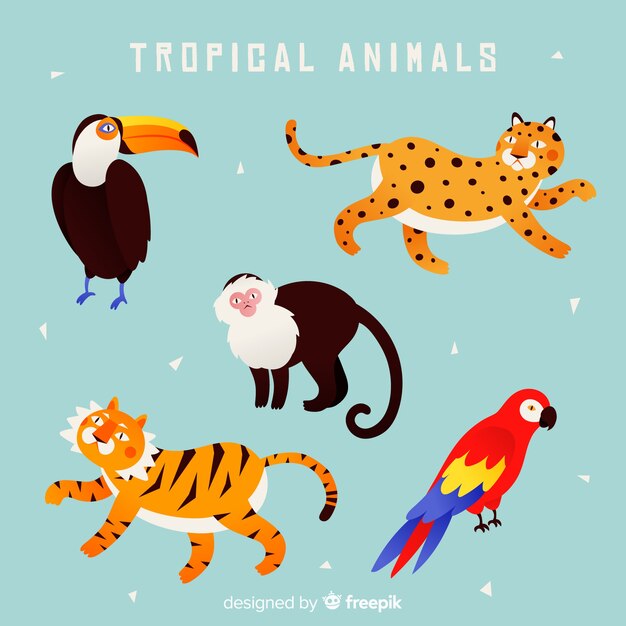 Colección animales exóticos dibujados a mano