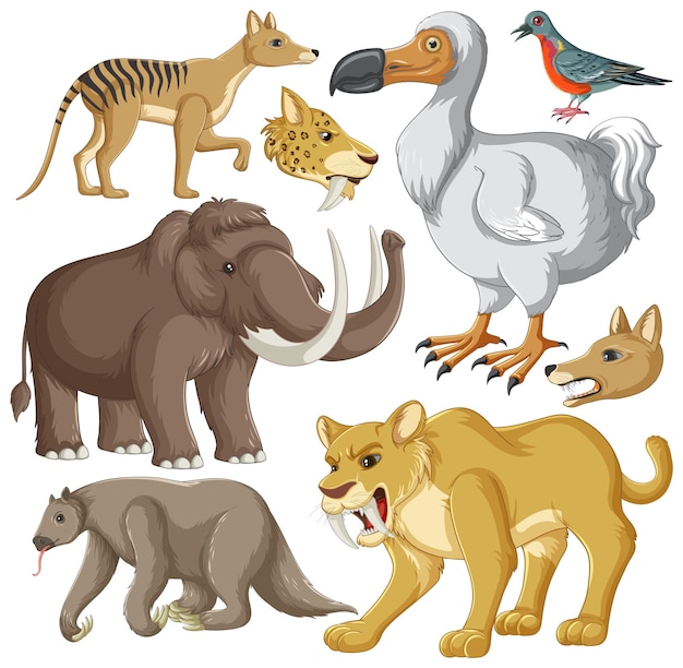 Colección de animales extintos