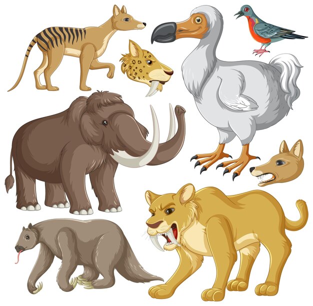 Colección de animales extintos