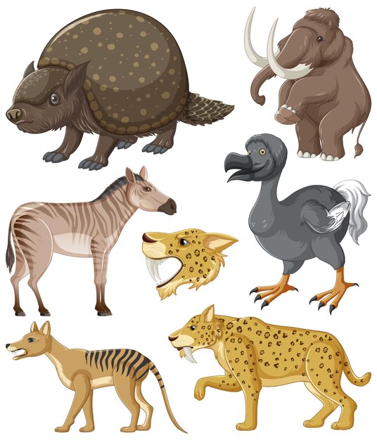 Colección de animales extintos