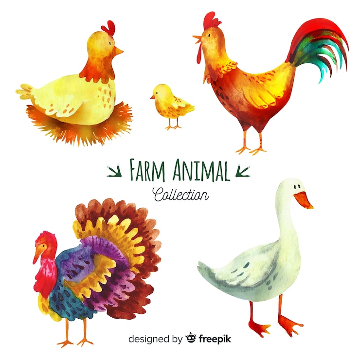 Vector gratuito colección de animales de granja de acuarela