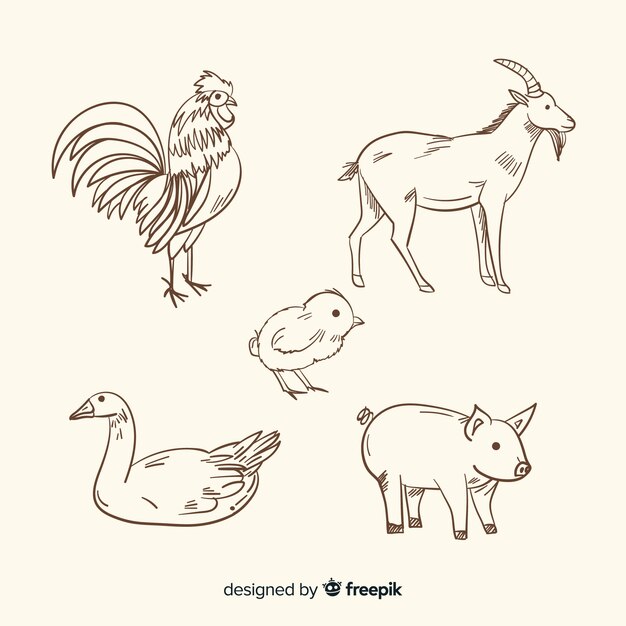 Colección de animales de granja dibujada a mano