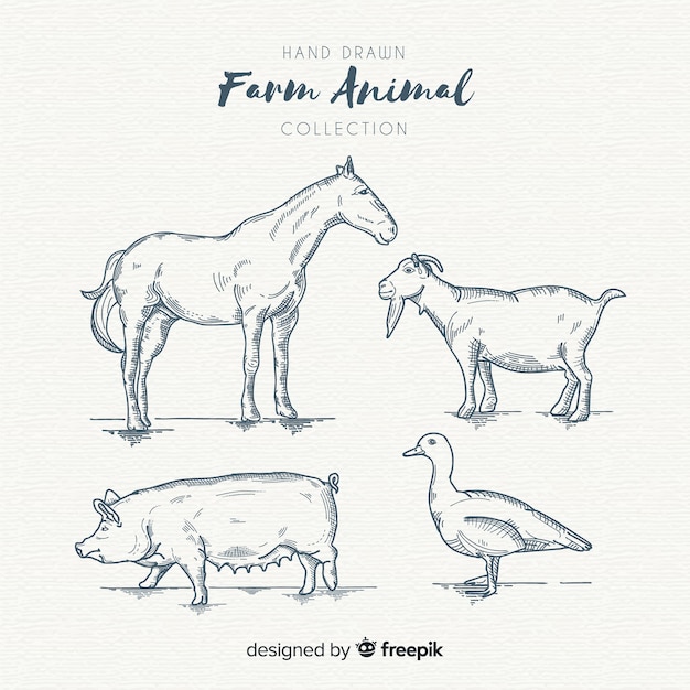 Vector gratuito colección de animales de granja dibujados a mano