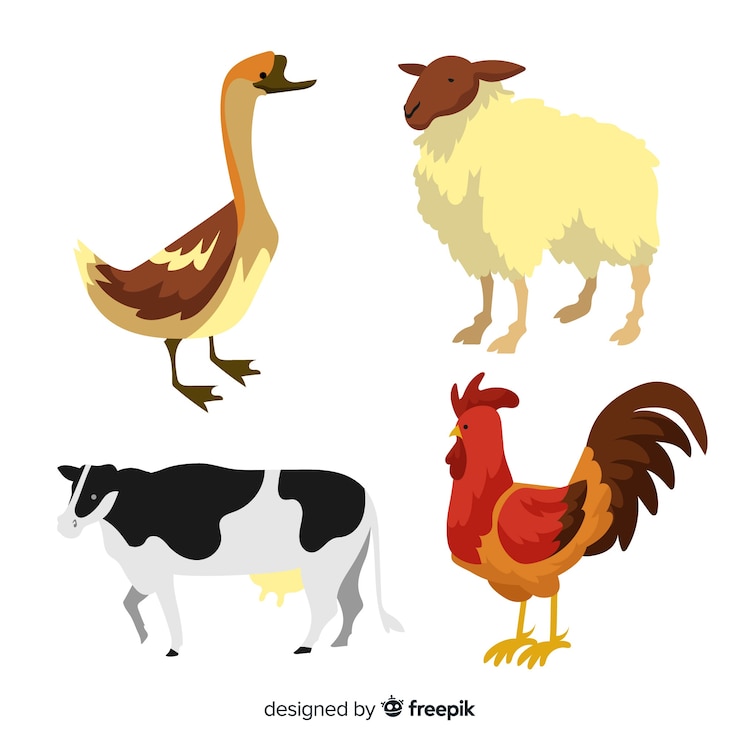 Vector gratuito colección de animales de granja dibujados a mano