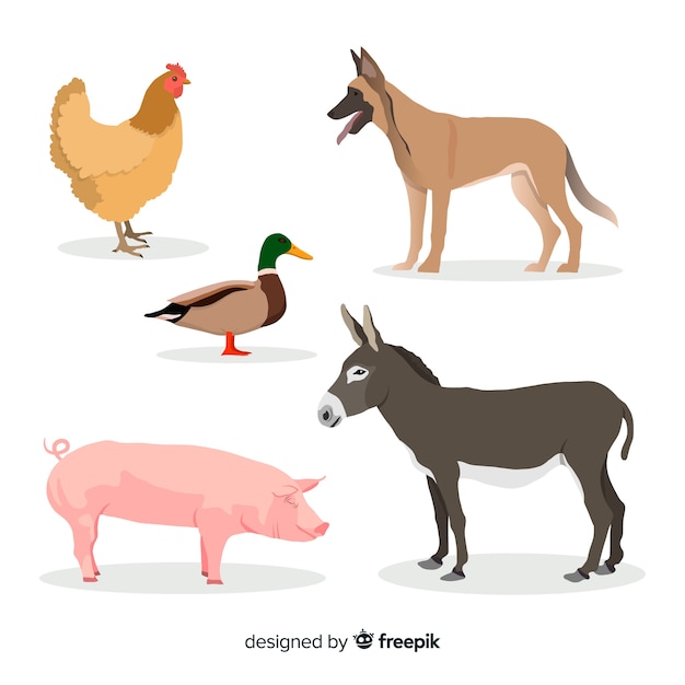 Colección de animales de granja en estilo plano