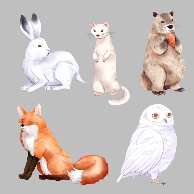 Colección de animales de invierno en acuarela