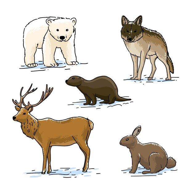 Colección animales de invierno dibujados a mano