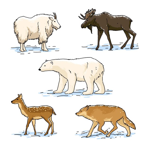 Colección animales de invierno dibujados a mano