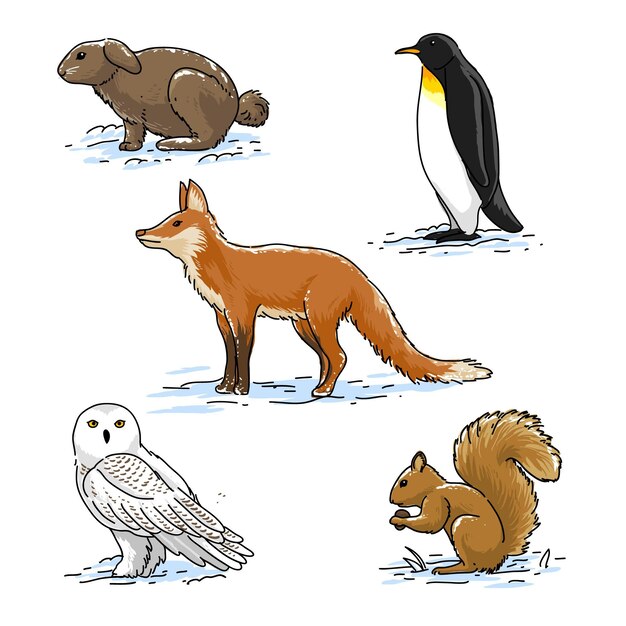 Colección animales de invierno dibujados a mano