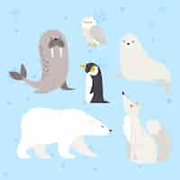 Vector gratuito colección animales de invierno planos dibujados a mano