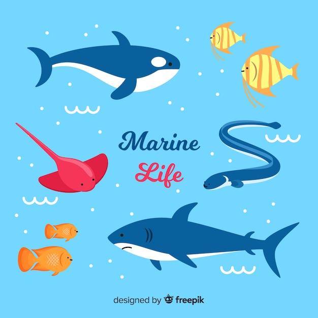 Vector gratuito colección animales marinos dibujados a mano