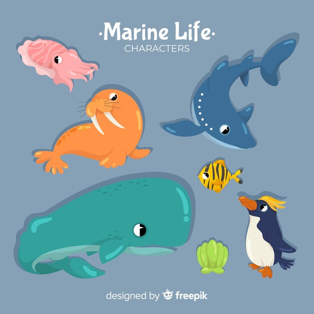 Colección animales marinos dibujados a mano