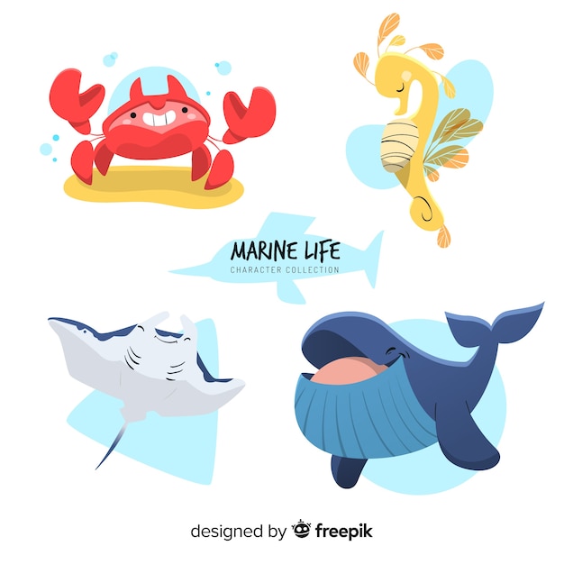 Colección animales marinos dibujados a mano