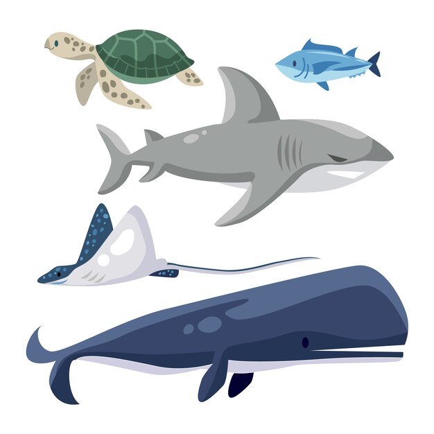 Colección de animales marinos planos
