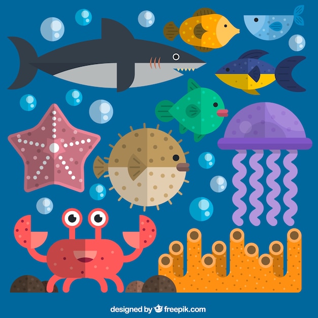 Vector gratuito colección de animales marinos