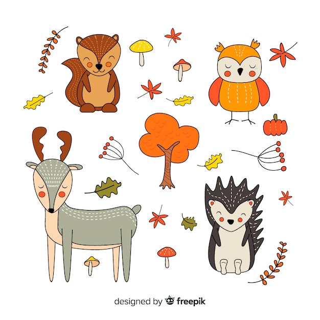 Colección de animales otoñales dibujados a mano