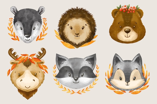 Vector gratuito colección de animales de otoño en acuarela