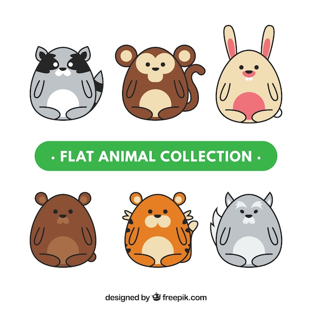 Colección de animales planos