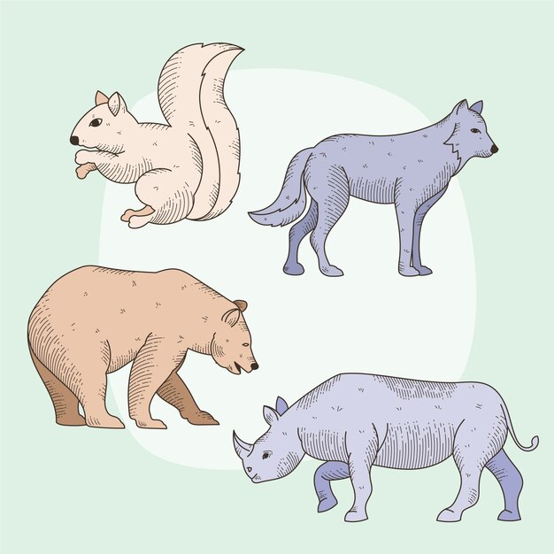 Colección de animales salvajes dibujados a mano