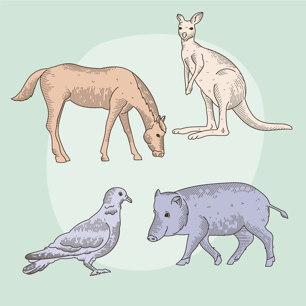 Colección de animales salvajes dibujados a mano