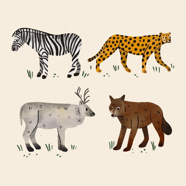 Colección de animales salvajes dibujados a mano