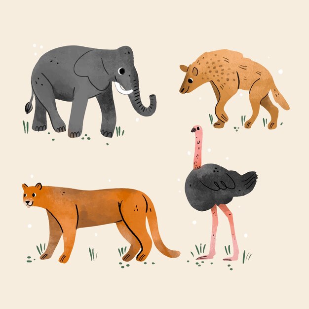 Colección de animales salvajes dibujados a mano