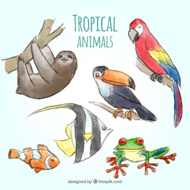 Vector gratuito colección de animales tropicales de acuarela