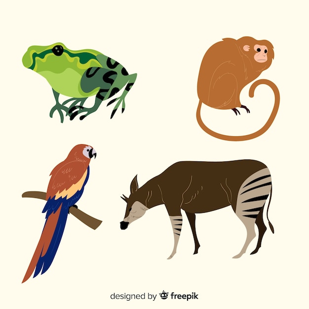 Colección de animales tropicales dibujado a mano