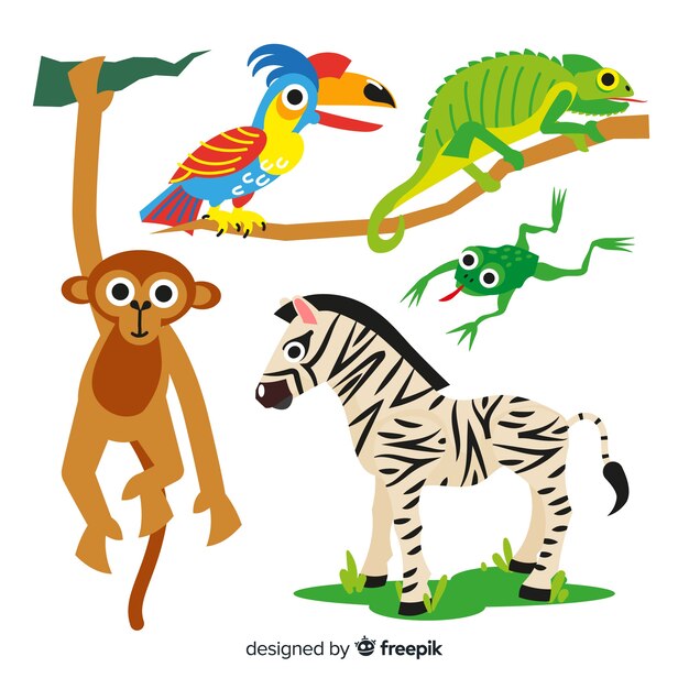 Colección de animales tropicales dibujado a mano