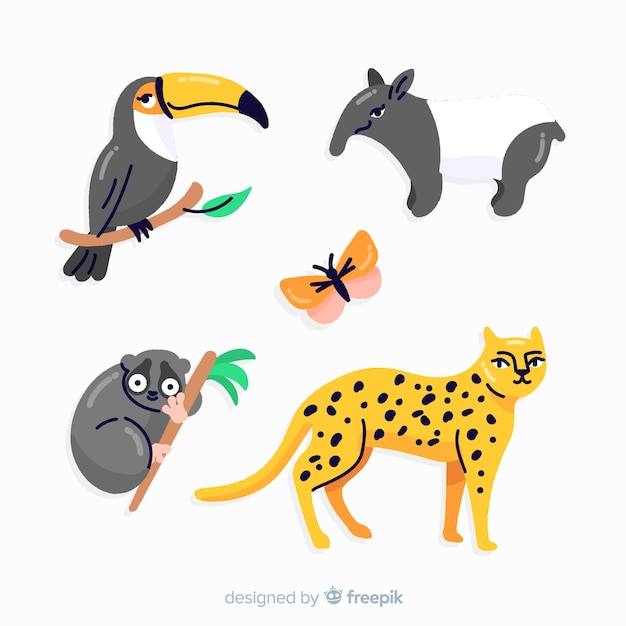 Colección animales tropicales dibujados a mano