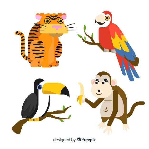 Colección de animales tropicales dibujados a mano.