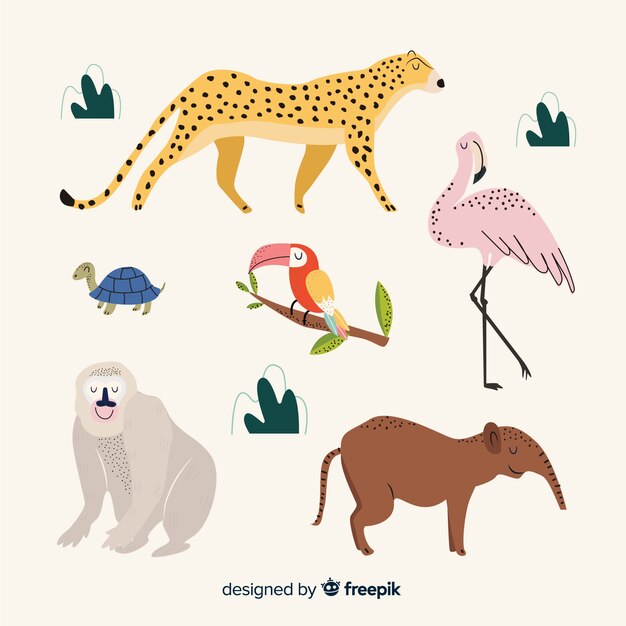 Colección de animales tropicales dibujados a mano.