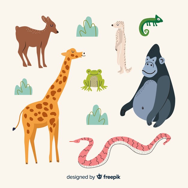 Colección de animales tropicales dibujados a mano