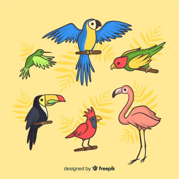 Colección de animales tropicales dibujados a mano.