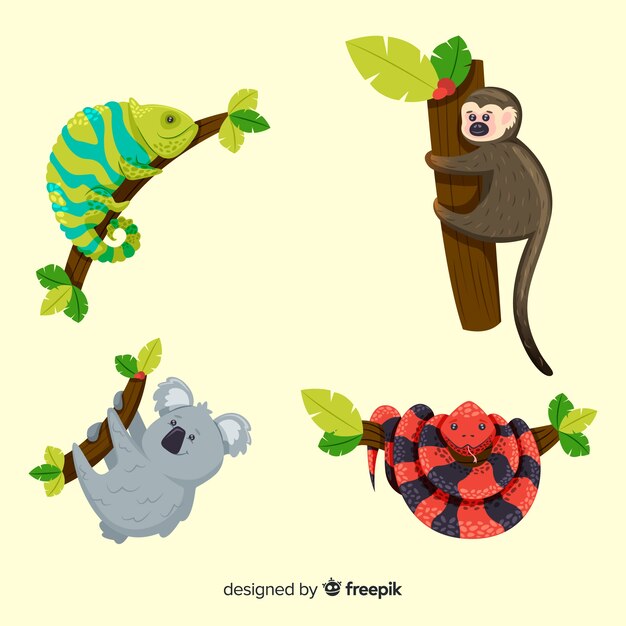 Colección de animales tropicales dibujados a mano
