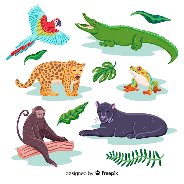 Vector gratuito colección de animales tropicales dibujados a mano